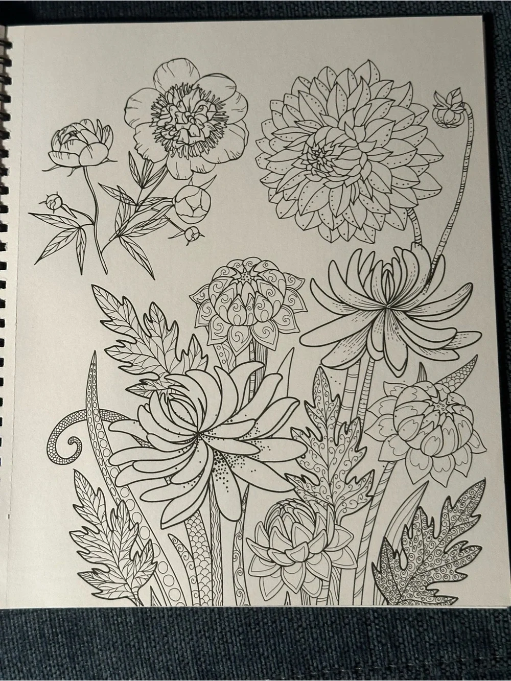 Country Gardens & Garden set of 2 Spiral Bound Adult Coloring
